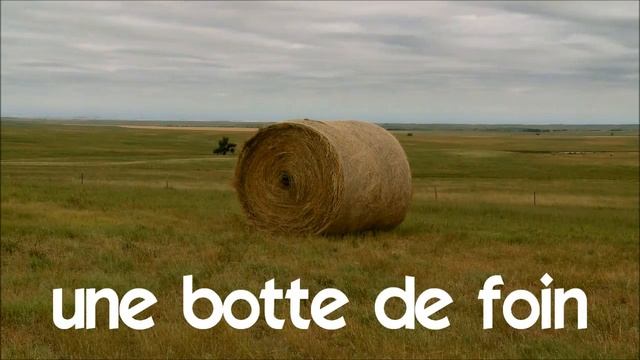 французские первые фразы # une botte de foin смотреть онлайн