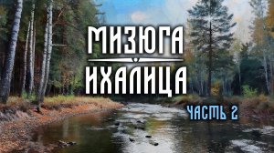 Из Костромской в Вологодскую область. Поход по реке Мизюга/Ихалица. Часть Вторая.