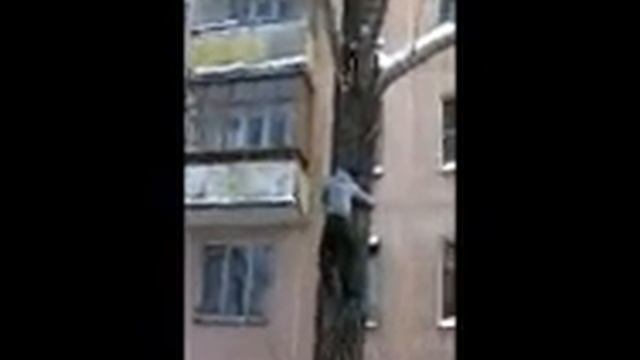 кошка.wmv смотреть онлайн