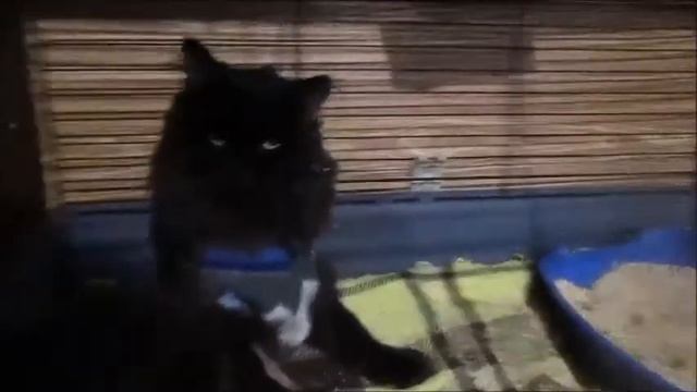 Вектор 15 04 20 смотреть онлайн