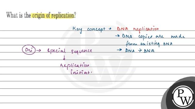 What Is The Origin Of Replication?