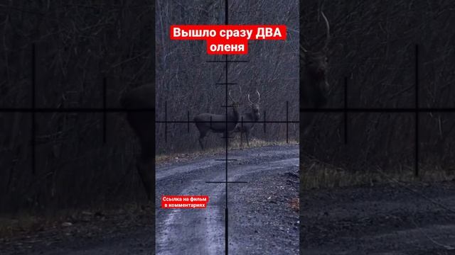 Охота на оленя смотреть онлайн