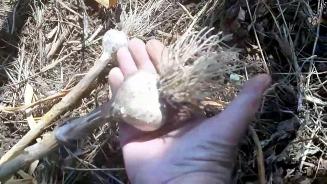 Убрала чеснок Результаты и выводы смотреть онлайн