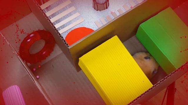 🤖Star Wars - BB-8 Hamster Maze with Traps 😱[OBSTACLE COURSE] смотреть онлайн