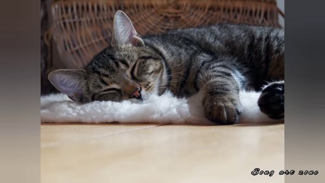 • • • Музыка для глубокого сна и восстановления сил • • • смотреть онлайн
