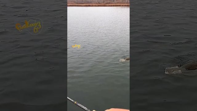 Осення щука на джиг смотреть онлайн