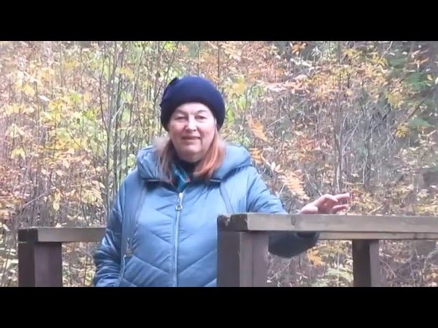 Одиночество - Автор Вера Скрябина музыка и поёт Анатолий Жих смотреть онлайн