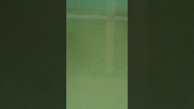 14.05.2022 Вода зелёная,на дне осадок смотреть онлайн