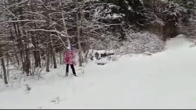 Лыжный поход для детей семей участников Фонда, в том числе и из замещающих семей смотреть онлайн