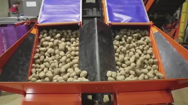 Видеоинструкция по первоначальной приемке и запуску Фасовочно-упаковочного комплекса АБС-2 смотреть онлайн