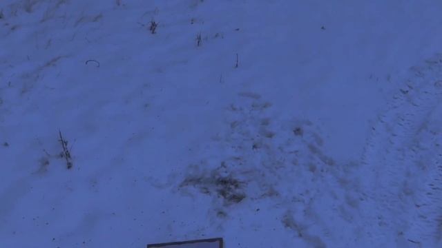 Заочка на точность 19.12.2020 г. Взгляд сверху. смотреть онлайн