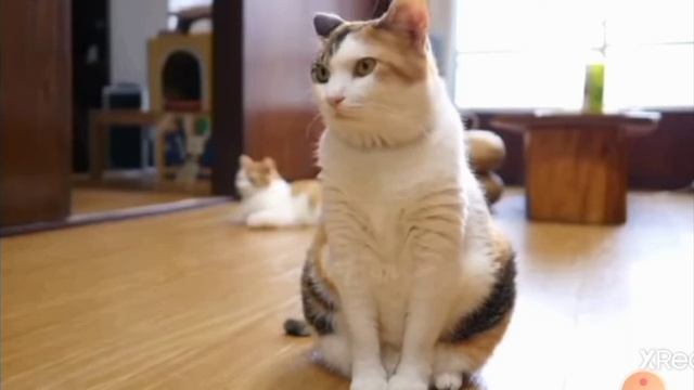 когда съел сосиску😂