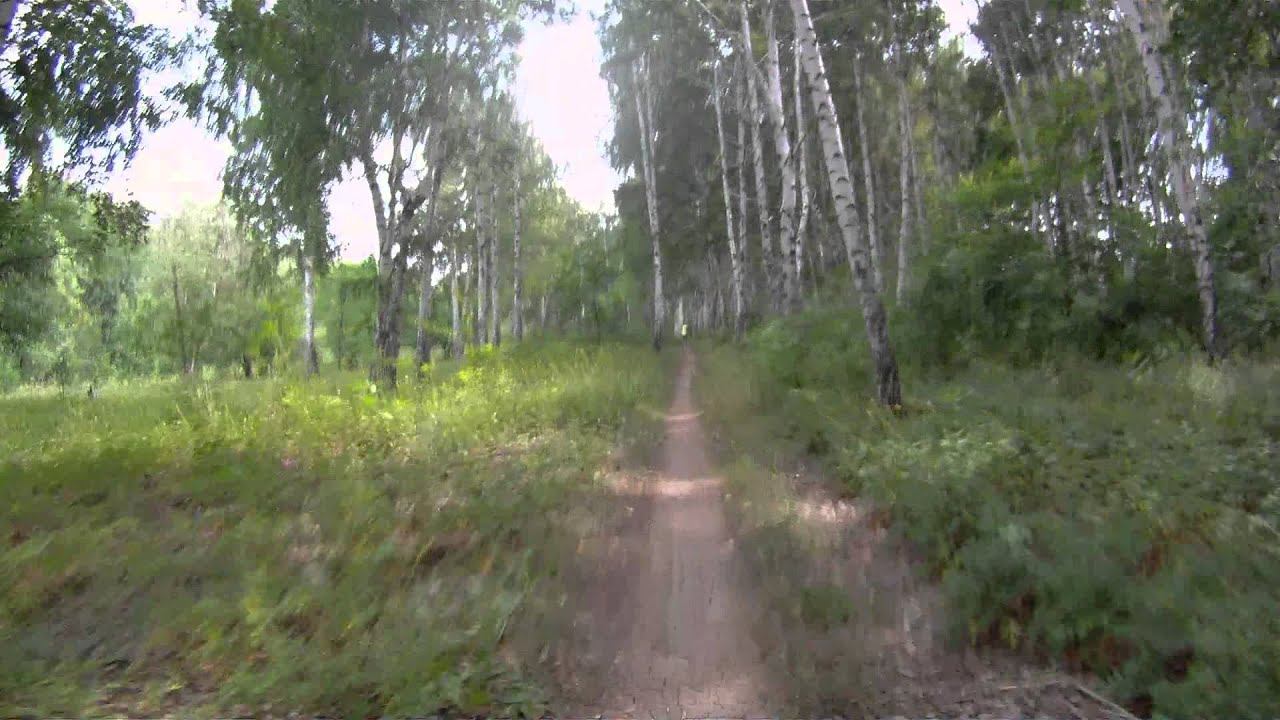 Покатушки на великах.