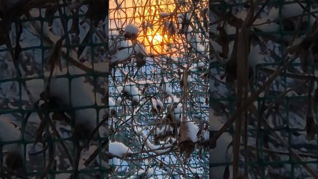 Рождение солнечного дня. смотреть онлайн