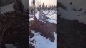 #zarafshonmedia | Эркин одинаев «гуфтам наравам деха дигар очам нест»