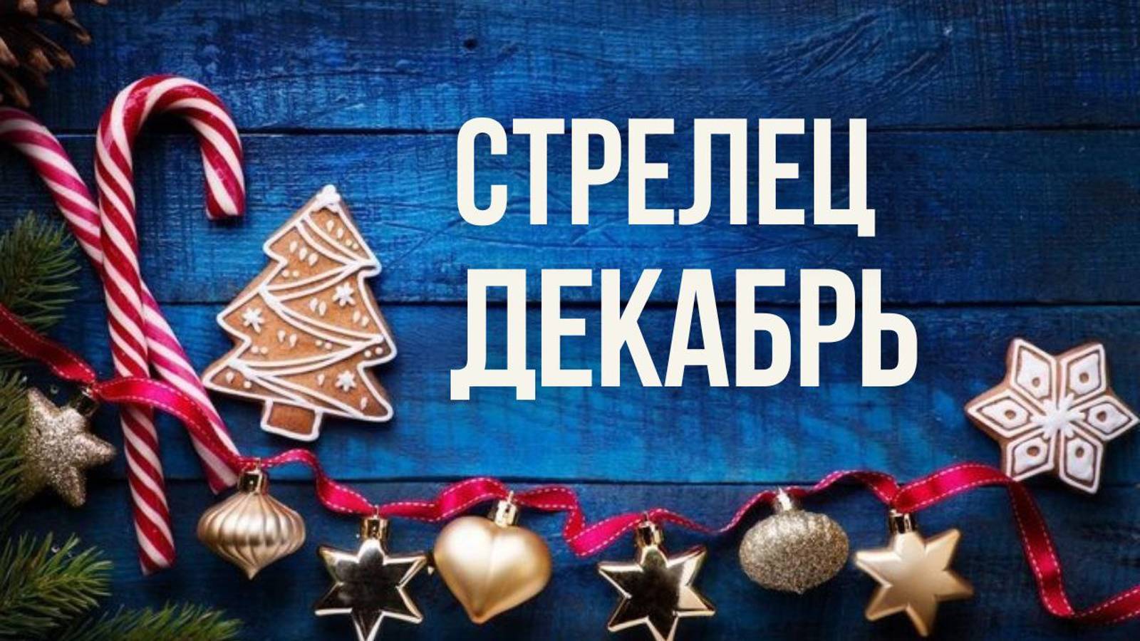 СТРЕЛЕЦ ♐ ДЕКАБРЬ 2024 ❄️ смотреть онлайн