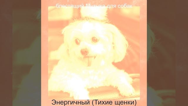 Атмосфера (Одинокие собаки) смотреть онлайн