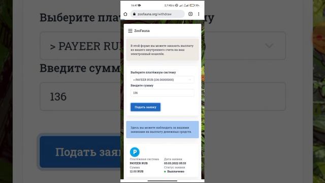 проверка на вывод с проекта zoofauna первый круг прошли успешно заработали 30 чистыми смотреть онлайн