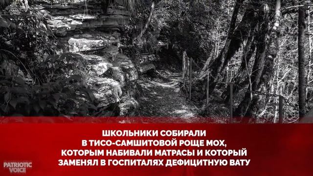 Сочи — город, в котором... смотреть онлайн