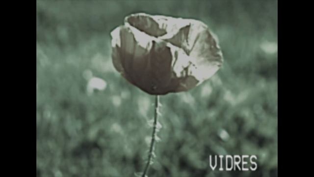 29 марта 2022 г. смотреть онлайн