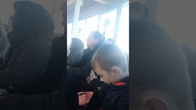 Дельфинарий Минск. смотреть онлайн