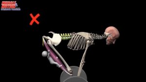 Румынская становая тяга. Самое короткое руководство