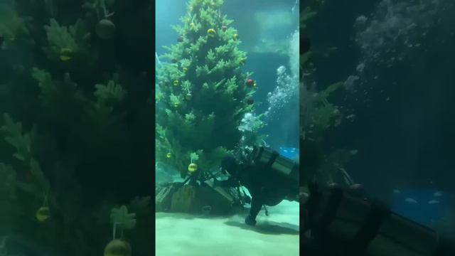 1000005961.mp4 смотреть онлайн