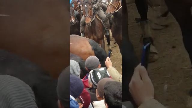 24 июля 2021 г. смотреть онлайн