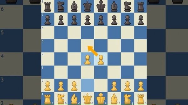 Дебют 1 часть. Chesskid