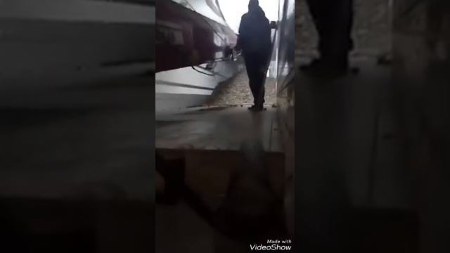 Странная погрузка картофеля в рефрижератор.Сколько работаю-такого не видел смотреть онлайн