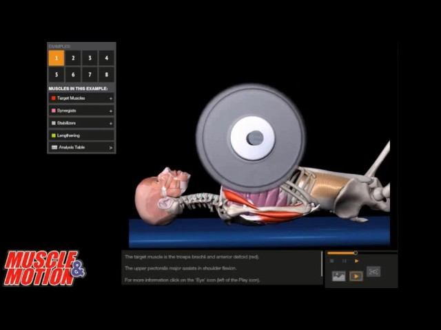 Жим штанги лёжа