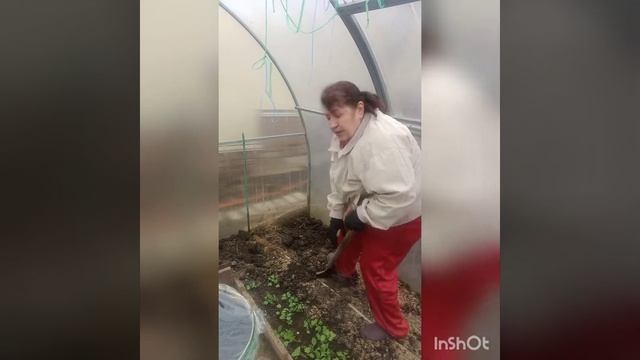 Готовлю теплицу к сезону смотреть онлайн