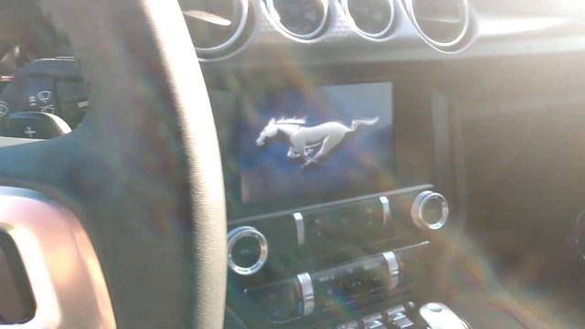 Elias 2020 Mustang GT