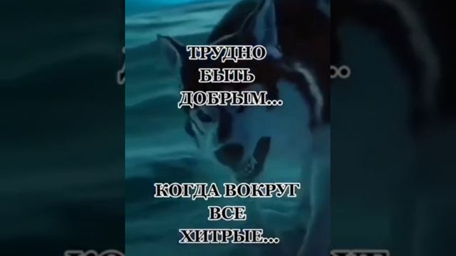 (Ислам) Трудно быть добрым... смотреть онлайн