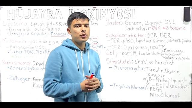 Hujayra biokimyosi смотреть онлайн