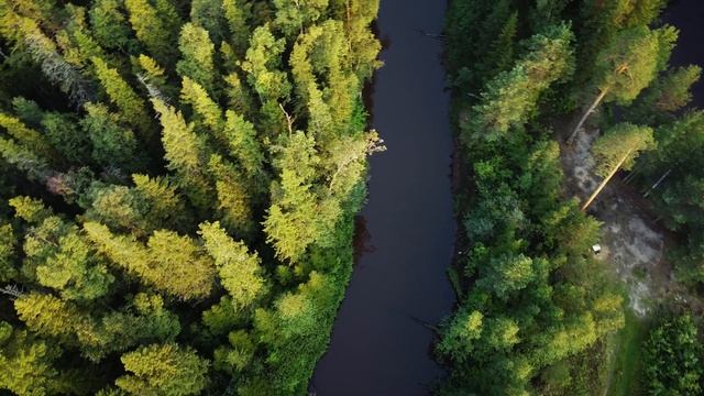 Dji  Mavic Mini CE пробные полеты