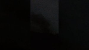 в Белгородской области жгут заживо свиней 😳😳😳😳