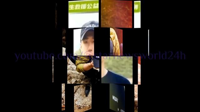 奥林匹克官网亲自官宣#王一博火炬手身份，内娱圈迎来前所未有的惊喜时刻。王一博献声穿山甲保护纪录片，热度高涨，粉丝：为耳朵买保险的时刻到了 #wangyibo #yibo #uniq смотреть онлайн