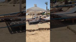 Пляж отеля Оазис гранд резорт Шарм-эль-Шейх 2024