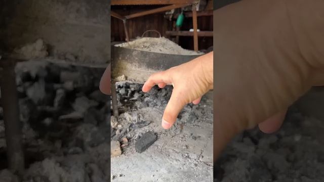 Главное Черногорское блюдо #черногория #иммиграция #travel #жизньиммигранта смотреть онлайн