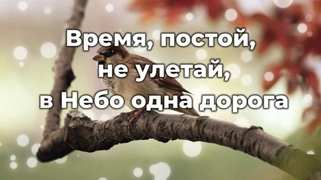 Время как быстрая птица смотреть онлайн