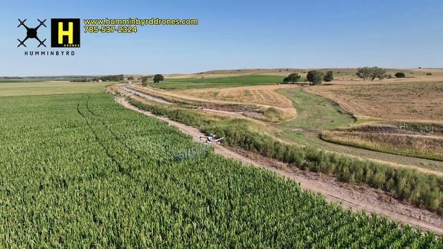 DJI Agras T50 Spraying For Grasshoppers