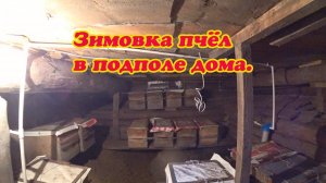 ЗИМОВКА ПЧЁЛ В ПОДПОЛЕ ДОМА, РЕМОНТ ВОСКОПРЕССА.