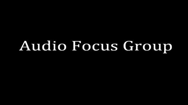 Audio Focus Group смотреть онлайн