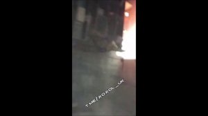 Хохолуха не дождалась