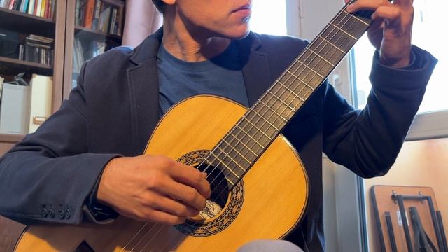 Гитара классическая мастер Феликс Акопов Ель+Палисандр (2016 год) смотреть онлайн