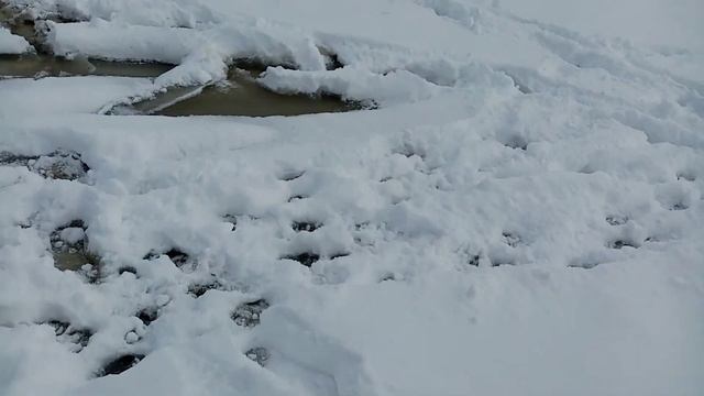 Влог: Снег около Мысхако в Новороссийске. смотреть онлайн