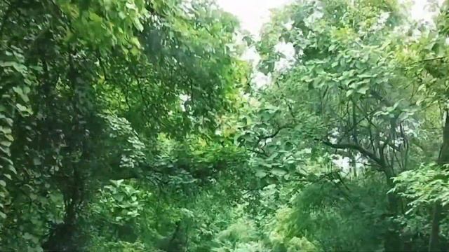 My New Vlog||Trip Kashit Day 1|| Bhut Masti Kiya Hmsb Ne||#juhikavya смотреть онлайн