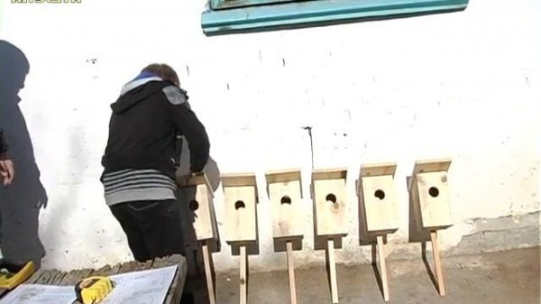 Скворечник