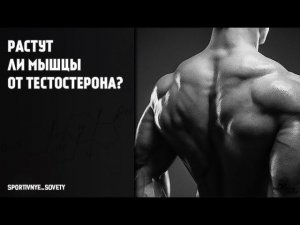 Растут ли мышцы от тестостерона